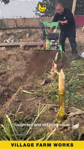 This Tiller DESTROYS Roots 😮 Watch How Fine The Soil Gets #PowerTiller
