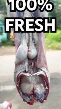 Fresh Meat Processing: Behind the Scenes 🥩 | THE MEAT TALKS #mutton #freshmeat #shortsfeed