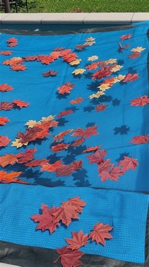 16x36 ft Rectangle Pool Leaf Net Cover | Easy Fall Pool Protection