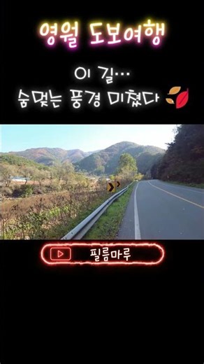 가을 영월… 산·계곡·마을이 한눈에 보이는 미친 풍경🍂 | Korea Scenic Walk