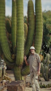 As promised! Feast your eyes on Mama Pasa 😊🌵What cactus or plant should we do next? We have plants from Africa, South America, North America and Mexico all growing wild in our 20 acre garden! | Cactus Country