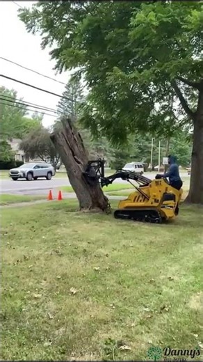 Tree service in Ohio. #treesservice #landscaping #lawncare
