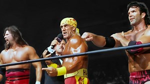Hulk Hogan Heel Turn and the Fan Who Tried to Attack