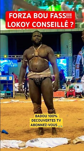 LOKOY conseillé mom Forza? #ambiance #lamb