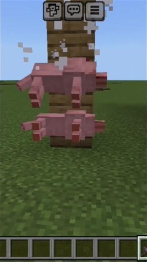 Minecraft: TOO MANY DOGS… It Went WRONG