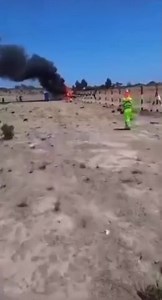 Helicopter crashes - Howler monkey reacts