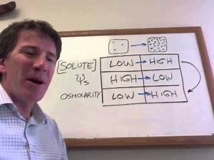 Water Potential and Osmolarity