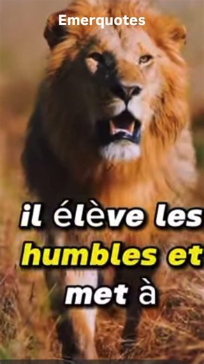 Ne te crois jamais supérieur