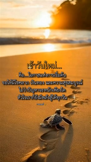 Good morning 🌄🌞 อรุณสวัสดิ์ #กําลังใจในทุกวัน #พลังบวกพลังใจ #แคปชั่นคําคม #สวัสดียามเช้า | 108สตอรี่