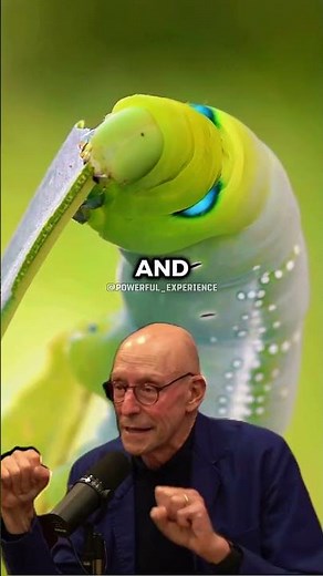 The Mystery of Plant Intelligence - Joe Rogan and Michael Pollan
