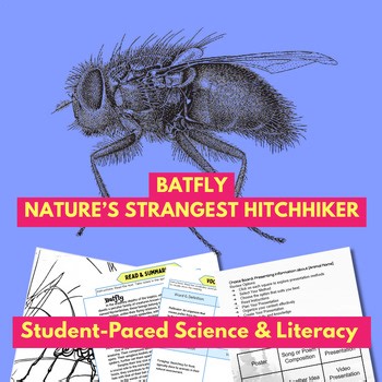 Batfly Animal Study | Science Literacy & C.E.R. Lesson | Choice Board