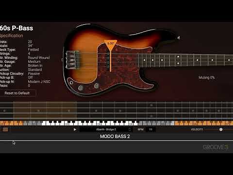 The MODO Bass 2 Interface