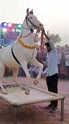 Aisi no Aisi 🤣😱🙏 #trending #funny #shortsfeed #comedy #youtubesearch #emotional #foryou #shorts