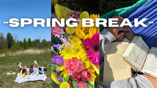 Why I went on spring break as a 24 year old