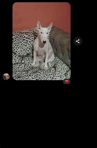 experiencia promedio en comisiónes 💗 #art #tiktok #commission #drawing #draw