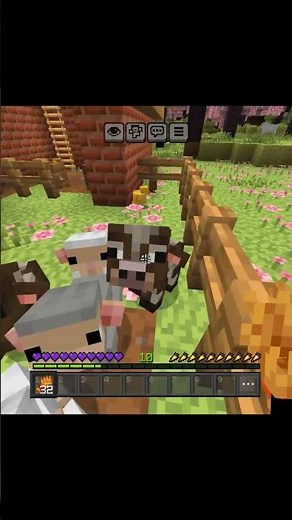 New Cutest Animal at Minecraft 😍 #minecraft #cute #cutebaby #animals #cuteness #minecraftsheep