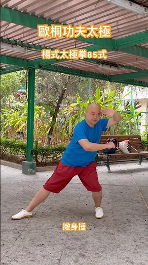 楊式太極拳85式之撇身捶