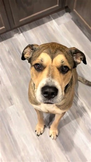 Django then and now ☺️