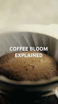 Coffee Bloom MAGIC: Why Your Pour Over Starts Here