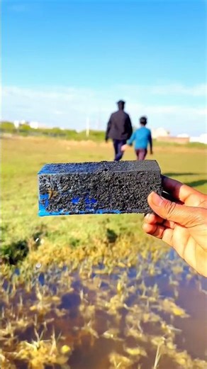 Sister Surprised Her Brother with a Unique Gift 🎁😱#shorts #viralshorts @YtfastRun