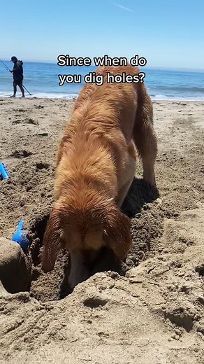 Monte & Mandy on TikTok