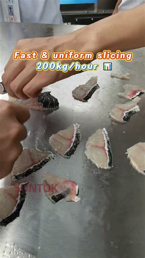 Fish Processing Machine-fish back opening, slicing, cutting