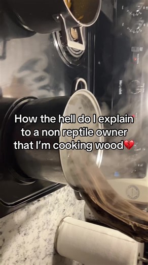 Understanding Reptile Care: Cooking Wood Explained