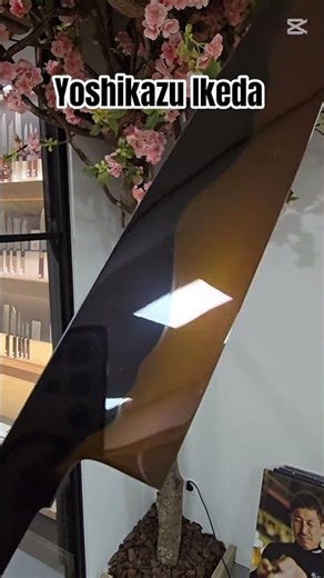 What in the Mt. Fuji Honyaki is going on here?