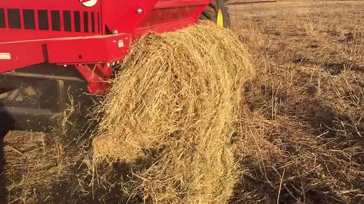 Dinner's ready! Aggressive enough to tear up a bale, yet gentle enough to preserve the leaves, the DewEze Super Slicer II delivers maximum strength and efficiency to feed your herd. Want one for your farm? --> http://bit.ly/2hRVnKh | DewEze