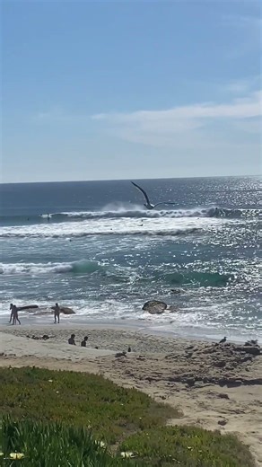 SPRING BREAK CONTINUES #shorts #spring #holiday
