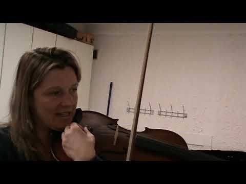 Bratsche oder Viola Stimmen