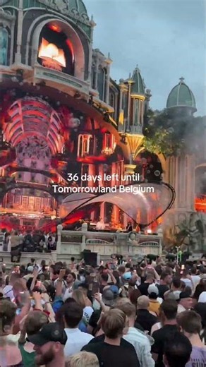 36 days left until Tomorrowland Belgium.