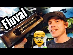 Fluval U2, U3, U4 Filter Setup & Review - Underwater