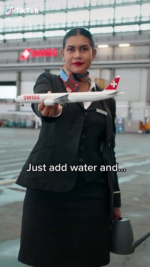 From Boeing 777 Model to Real Airplane Transformation