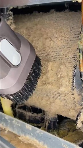 How to Clean Your Fridge Coils like a Pro