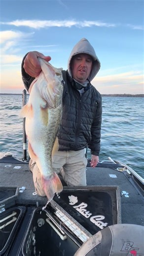 Fun day slinging jigs! #fyp #fishing #bass #santeecooper #outdoors