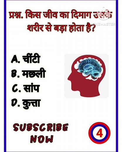 top science questions| important gk gs questions| basic science| top gk gs questions