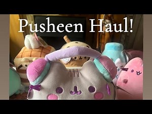 Pusheen Plush Haul! | Claire’s Pusheens 🩷