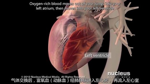 医学3D动画演示：什么是心力衰竭？