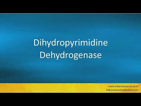 Pronunciation of the word(s) "Dihydropyrimidine Dehydrogenase".