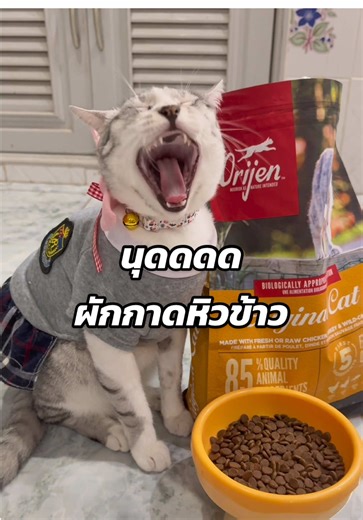 ออริเจน อาหารแมวเกรดพรีเมี่ยมโฮลิสติก