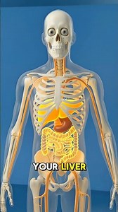 What Happens to Your Body If You Eat Only Fast Food? 🍔 #shorts