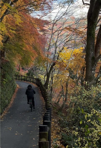 Discovering Arashiyama: A Kyoto Hiking Guide