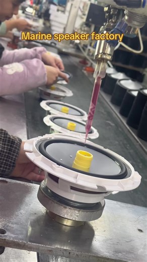 A professional speaker manufacturing factory is currently producing a 6.5 inch marine speaker.#fyp #factory #speaker #marines #oem