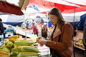 Variations de la glycémie sur 24 heures - Diabete.fr