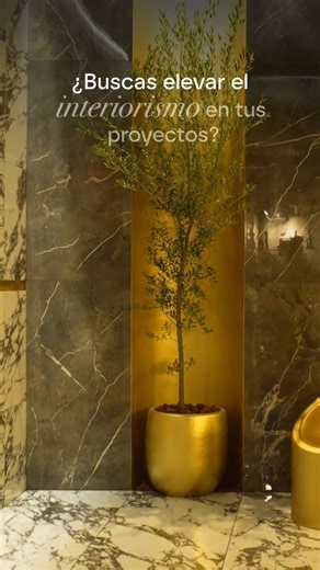 Síguenos y descubre todo lo que Daltile puede aportar a tus siguientes proyectos. | Daltile Mexico