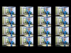 800-588-2300 EMPIRE CARPET EFFECTS
