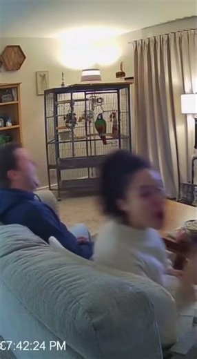 Parrot Swears On Security Camera