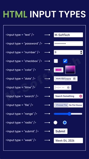 HTML Input Types #css #inputs #learnhtml5andcss3 #webdesign #webdevelopment #shorts #viral #coding