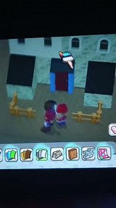 Mysims kingdom: Build a house